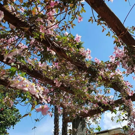 Casa Delle Vigne: Giardino, Pergola E Vista * Minusio