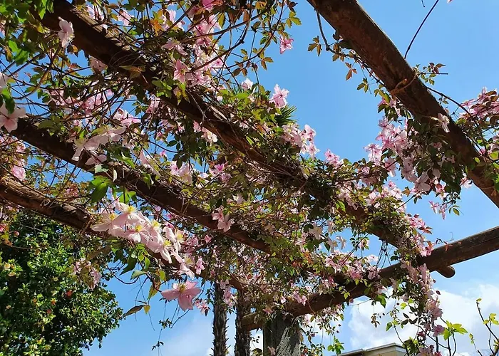 Casa Delle Vigne: Giardino, Pergola E Vista * Minusio